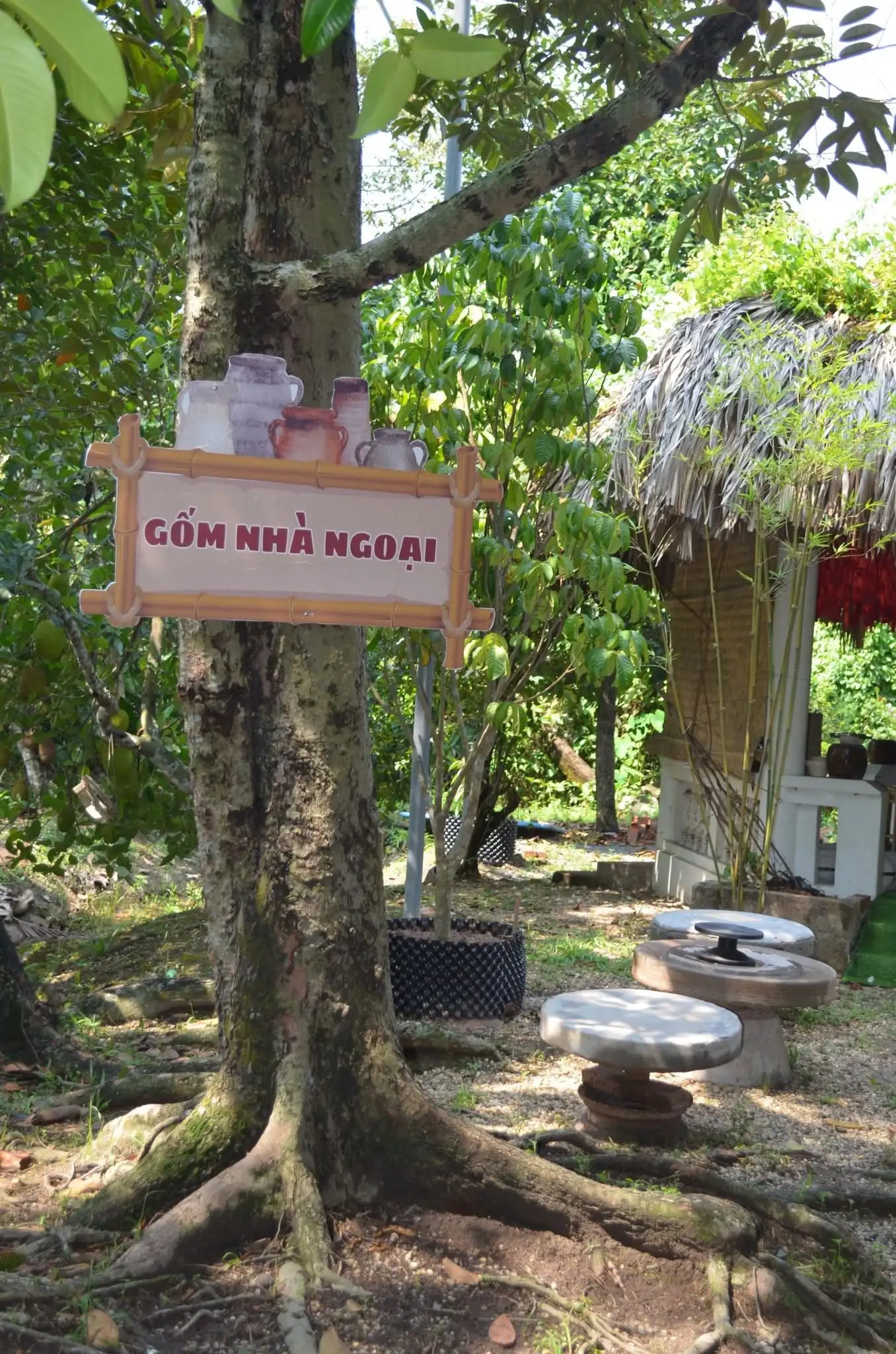 Về Vườn Của Ngoại – Nơi Thiên Nhiên Chữa Lành