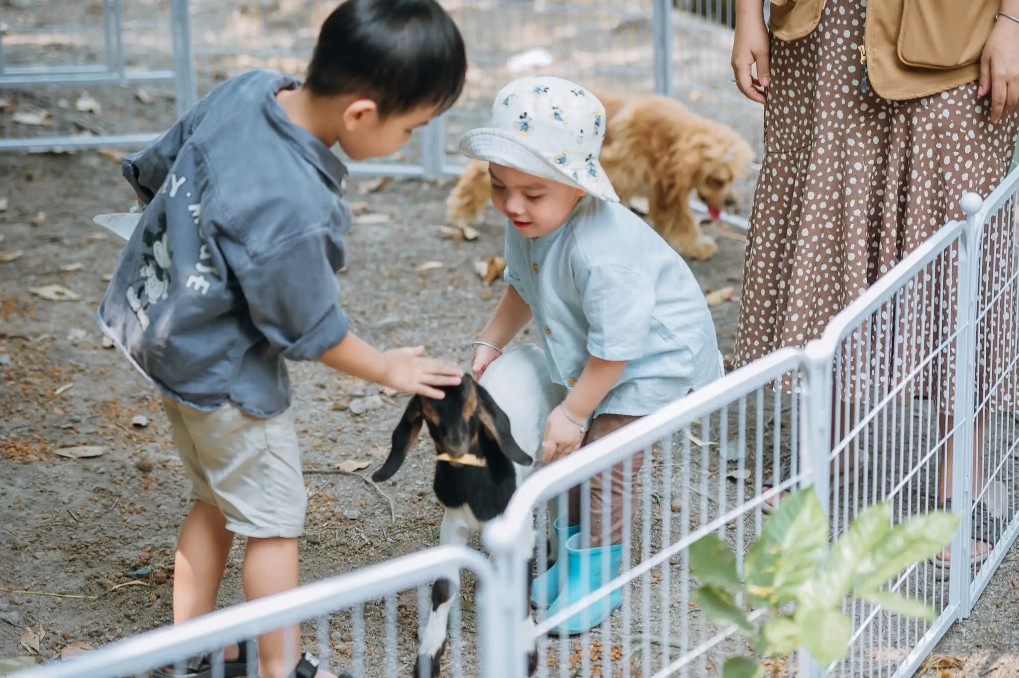 Về Vườn Của Ngoại – Nơi Thiên Nhiên Chữa Lành