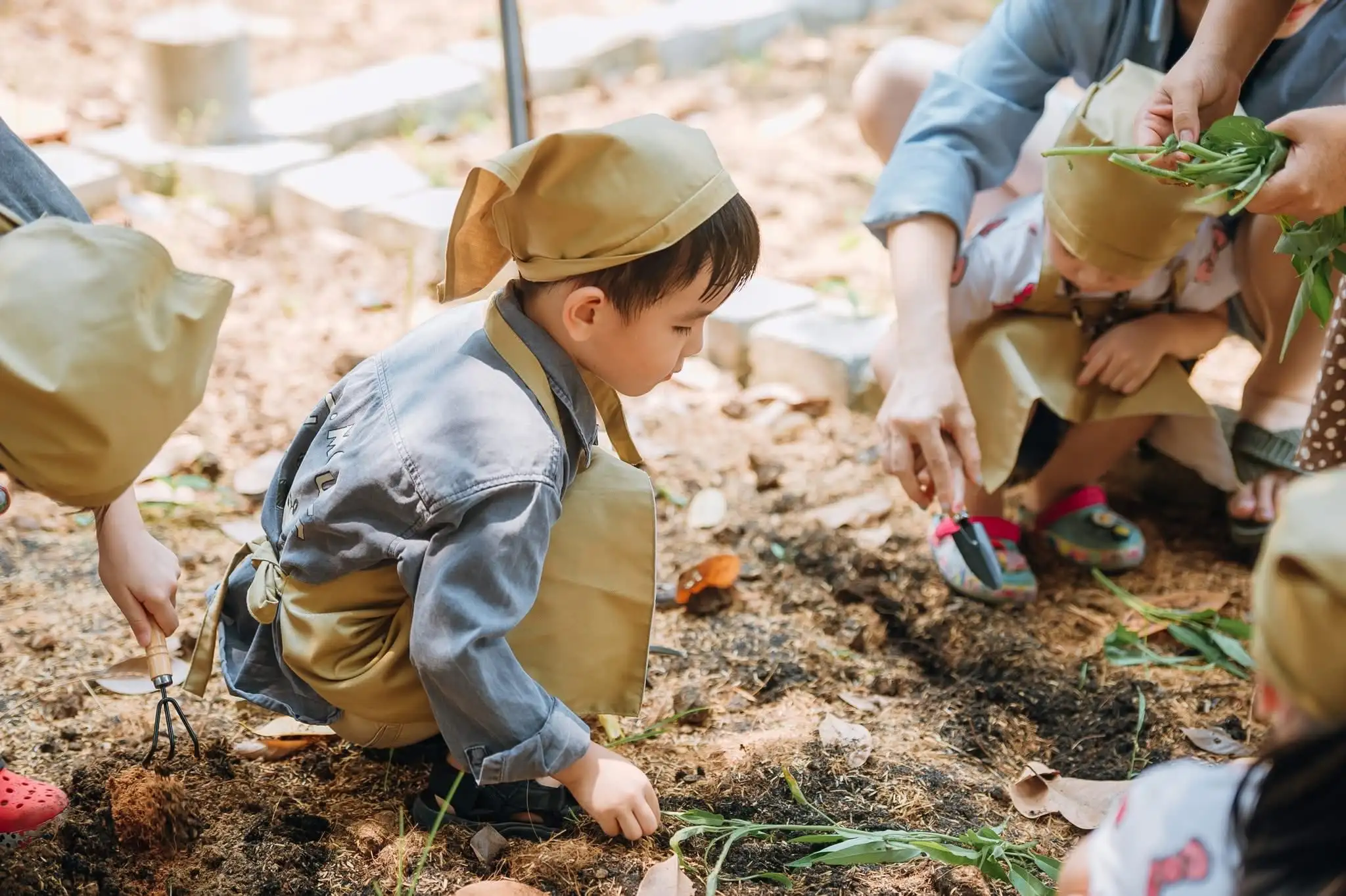 Về Vườn Của Ngoại – Nơi Thiên Nhiên Chữa Lành