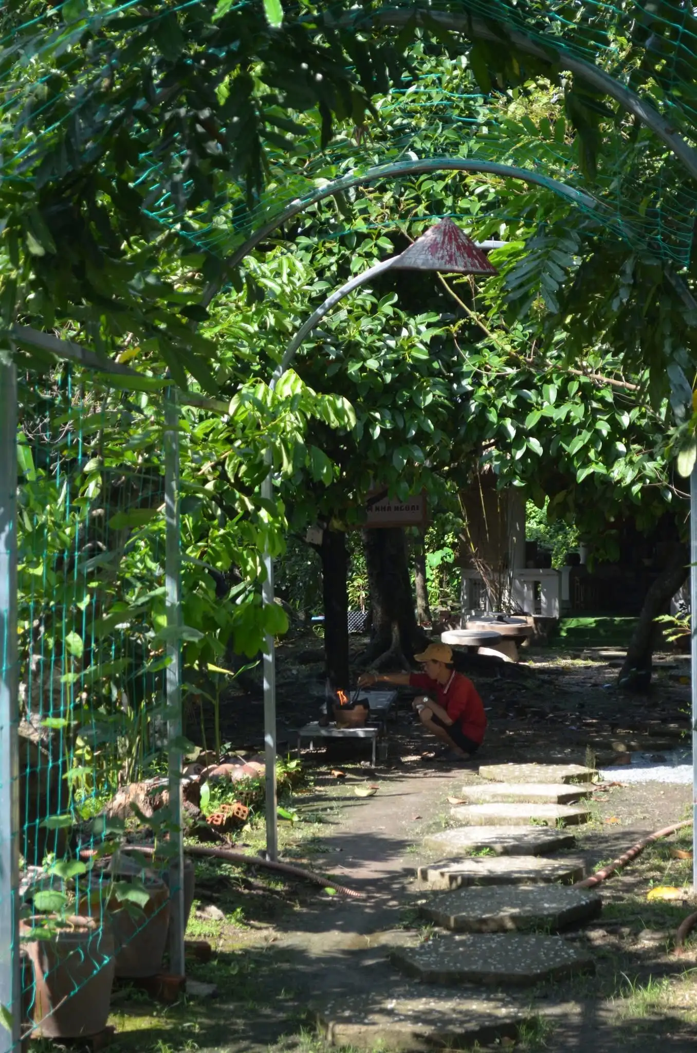 Về Vườn Của Ngoại – Nơi Thiên Nhiên Chữa Lành